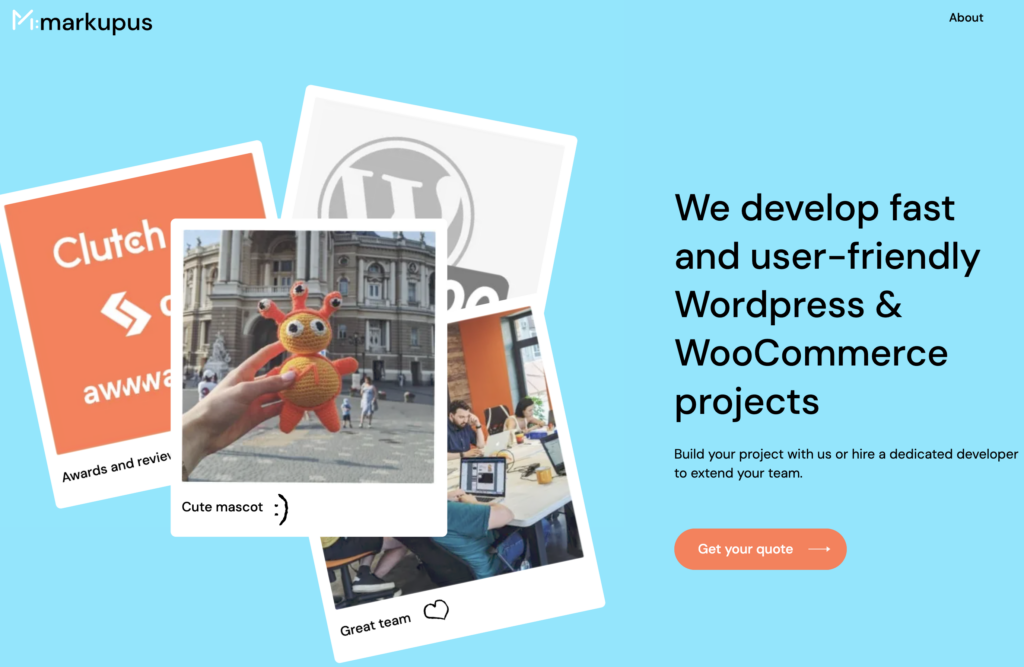 Website Development Companies In Dublin